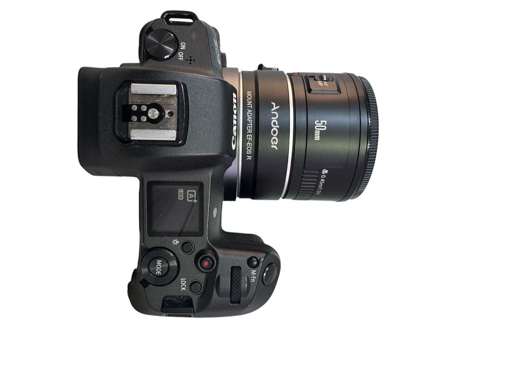 Canon Eos R  mirrorless DS126721