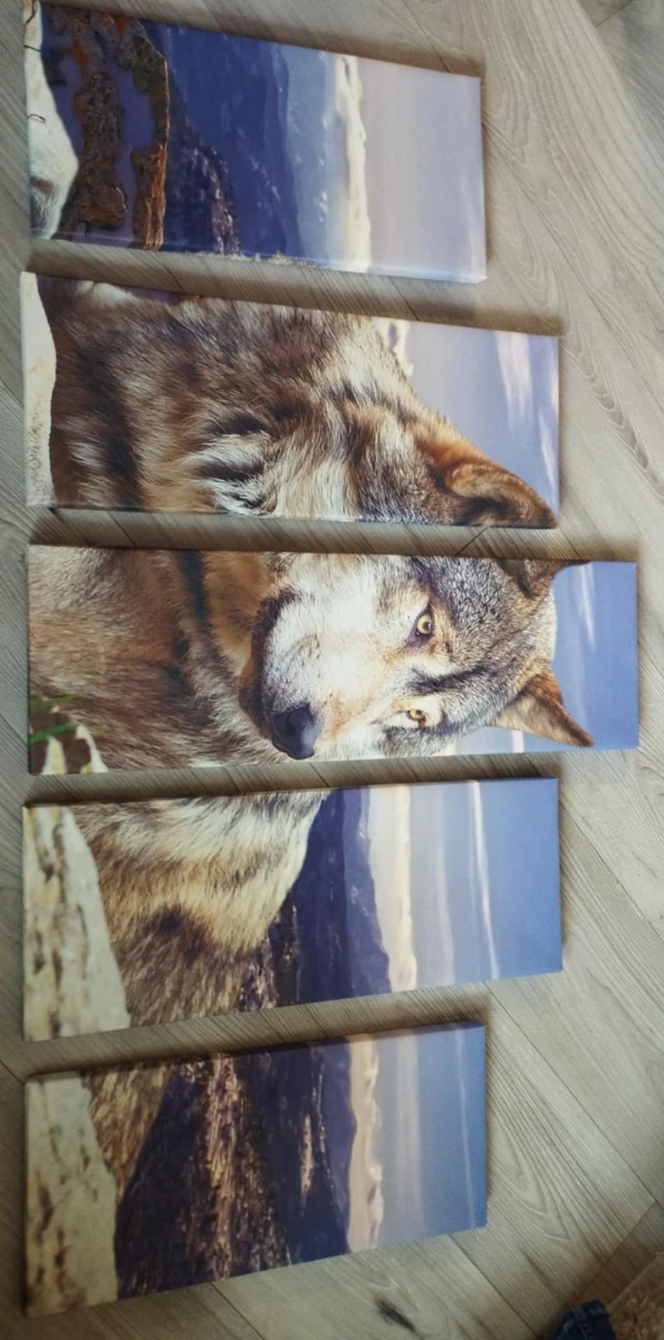 Принт/Панел/картина за стена с вълк