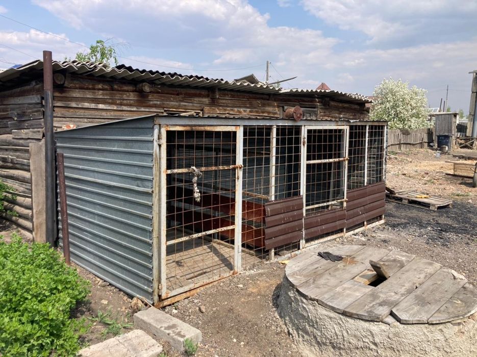 Вальер для собак