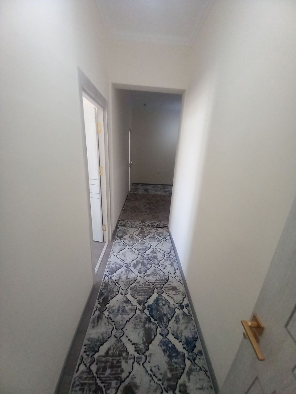 Motrid 2 xonali ijaraga beriladi