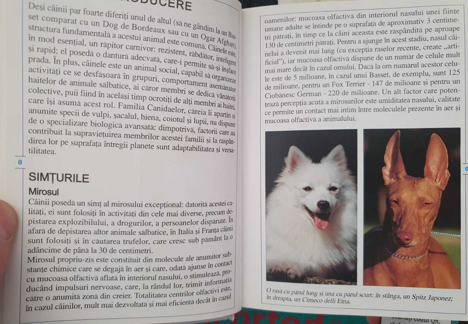 Câini, pisici, ghid ilustrat