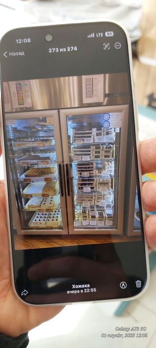 Muzlatgich xoldilnik Shkaf xaladilnik Professional Arginali Ajoyib tan