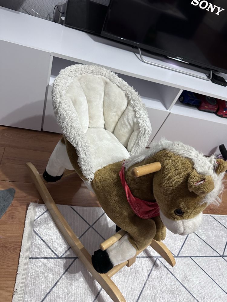 Люлеещо се конче