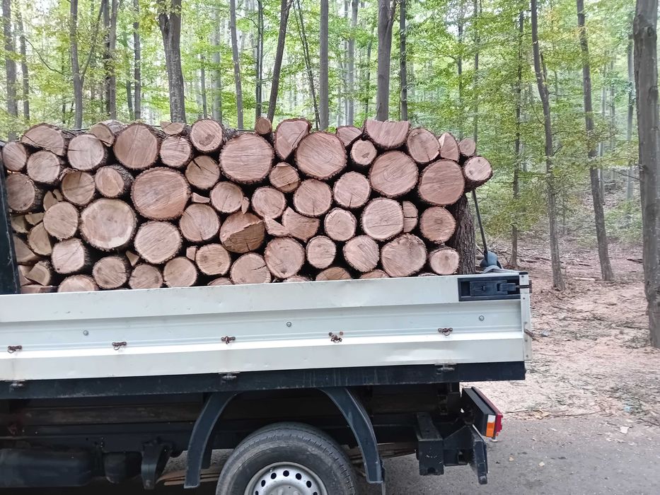 Vând ceuri paletizate de fag