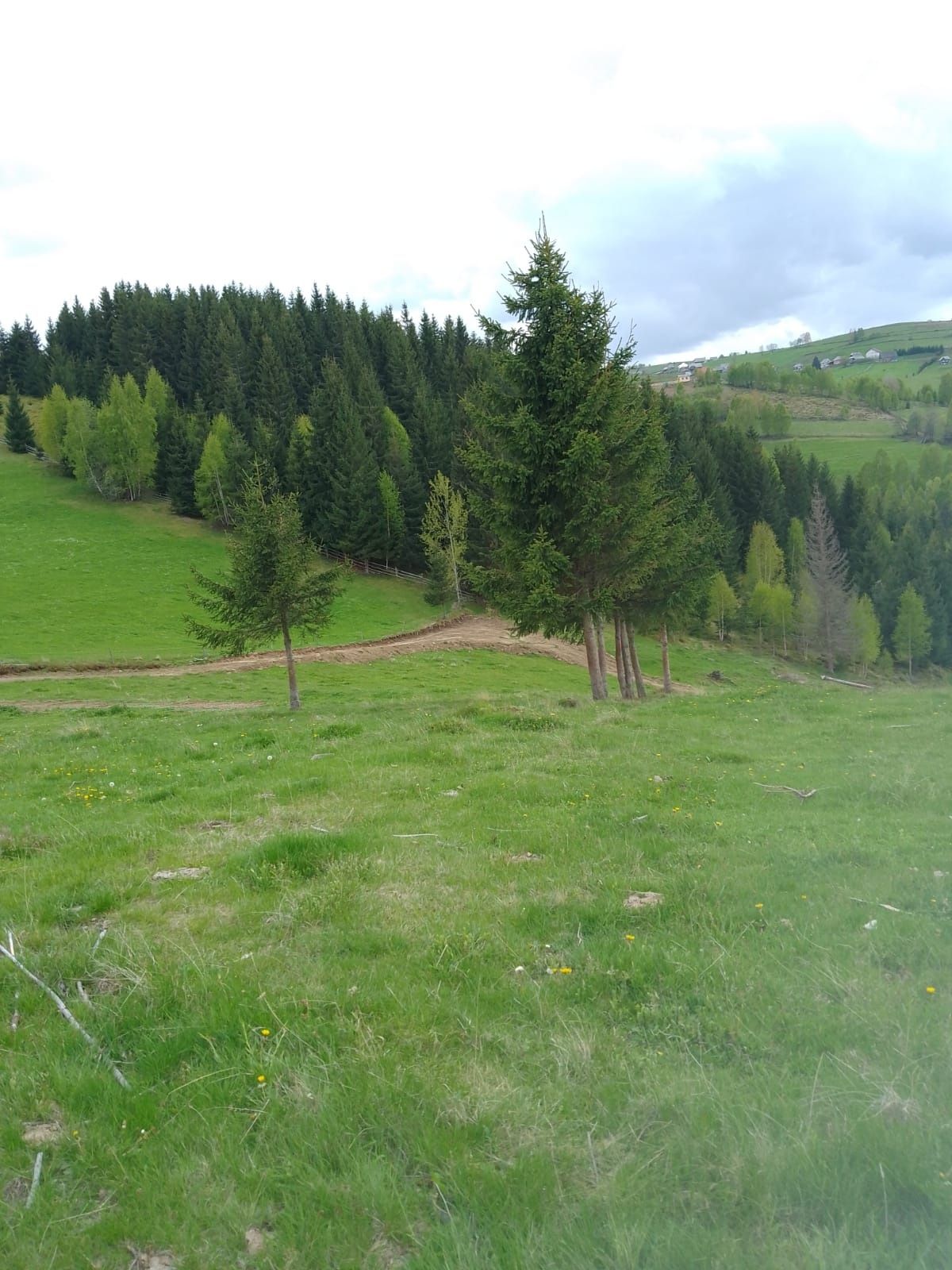 Vând teren în Maguri, județul Cluj