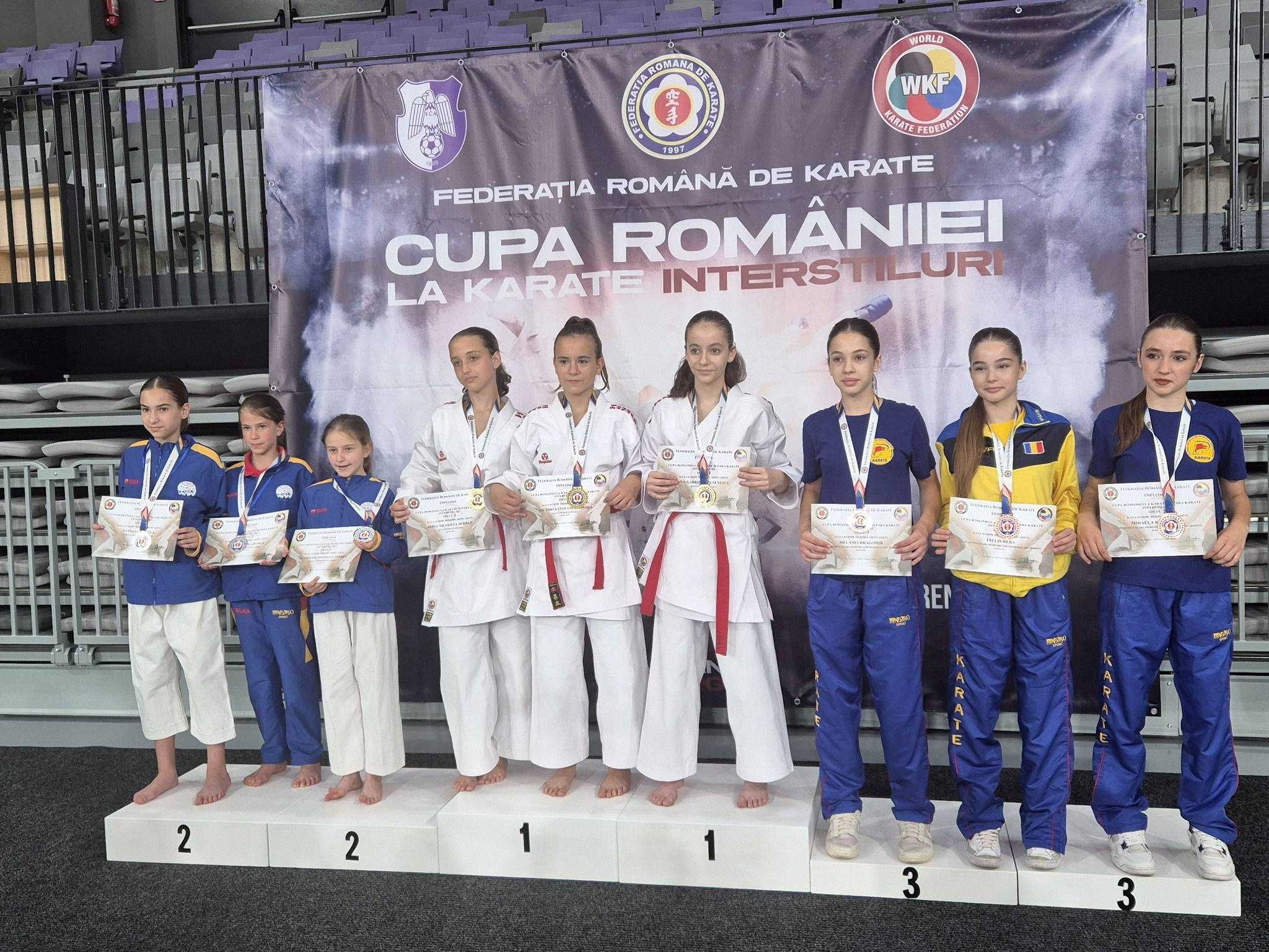 Cursuri karate  zona  Pantelimon Delfinului