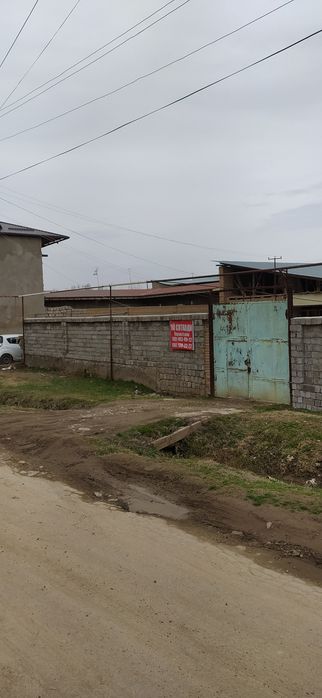 Keles. Abdurahmonov. Kok terak.7.6 sotx