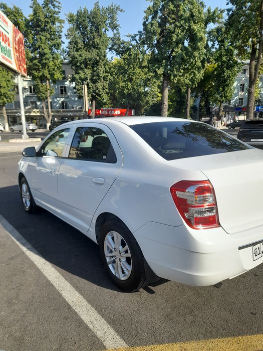 Cobalt style 2023 Full l, Propan Stag