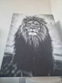 Tablou Motivational Leu Alb-Negru Grey Lion