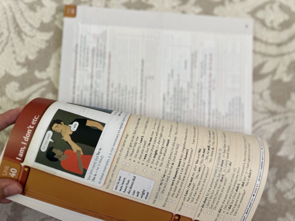 Essential gammar in use
