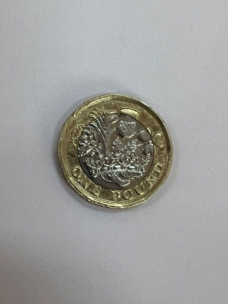 Moneda 1 pound 2016