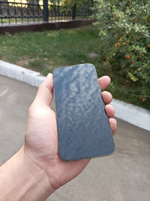 Iphone 15 Pro Max 256 Natural titan