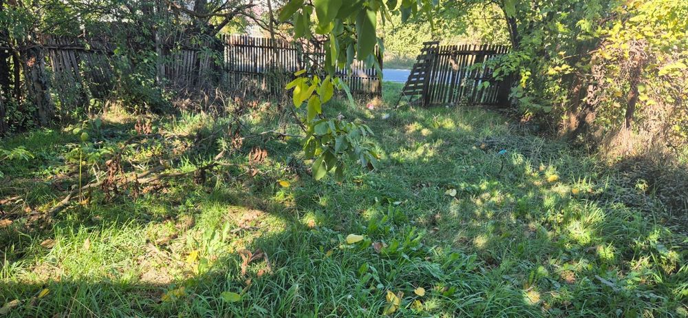 Vand Teren intravilan Finta Mica (Veche)