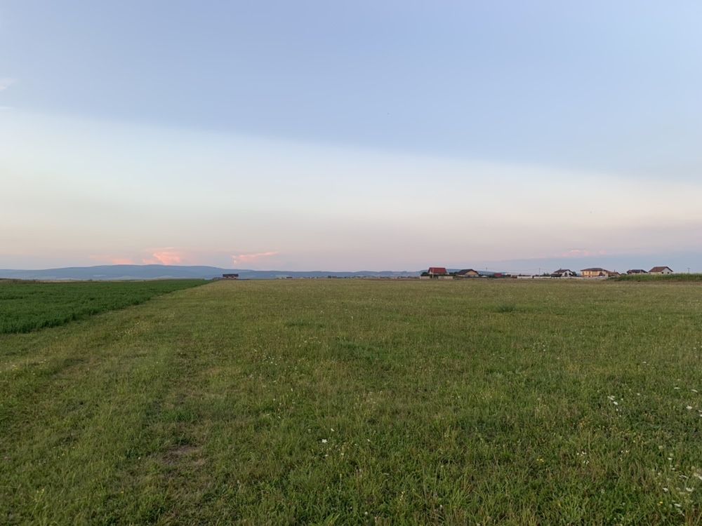 Teren intravilan intre Bod si Sanpetru