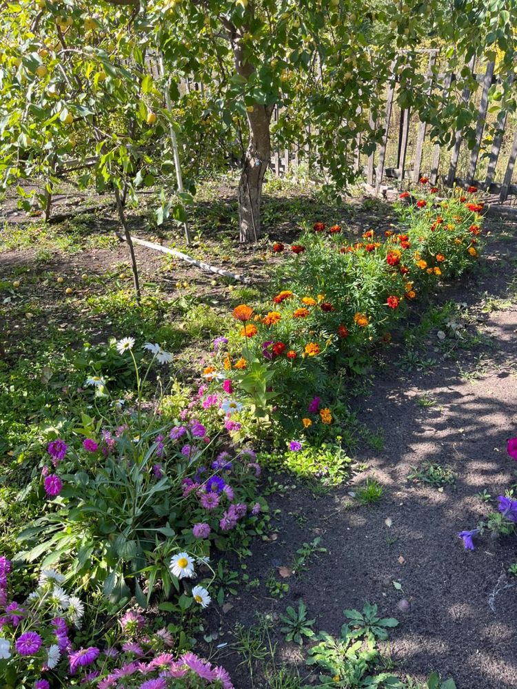 Продам Дачу / СКО Петропавловск