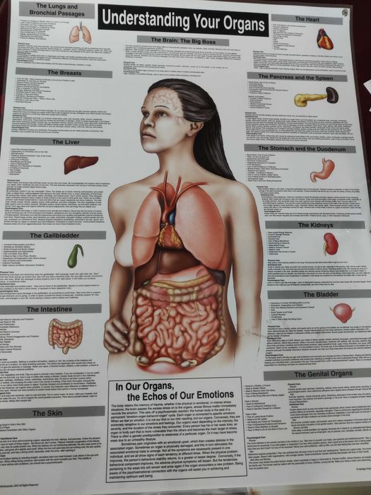 Afis Poster - legatura dintre EMOTII si BOLILE ORGANELOR noastre