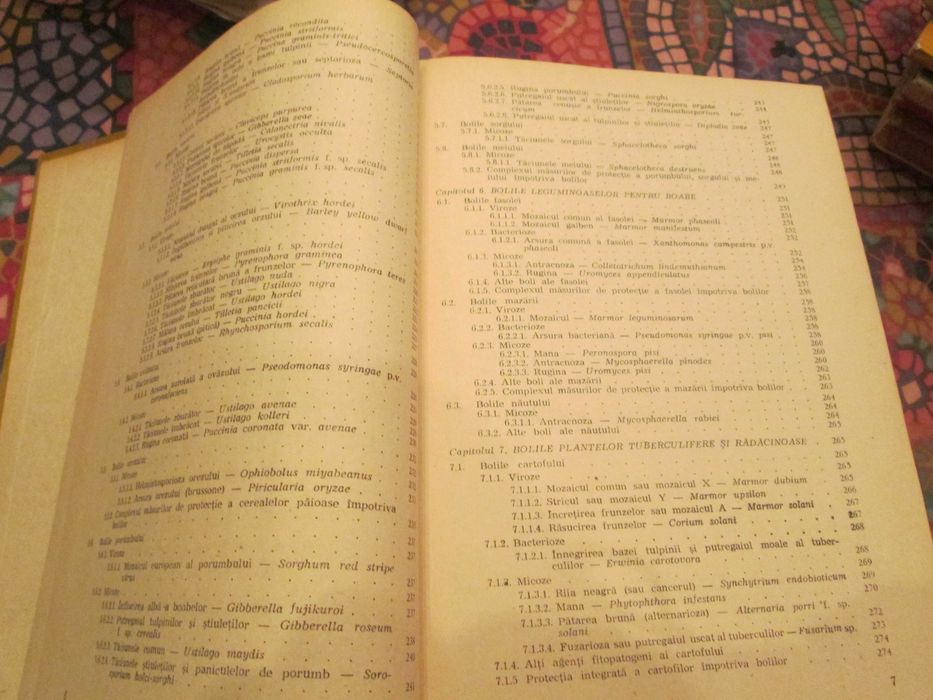 1989  volum Fitopatologie