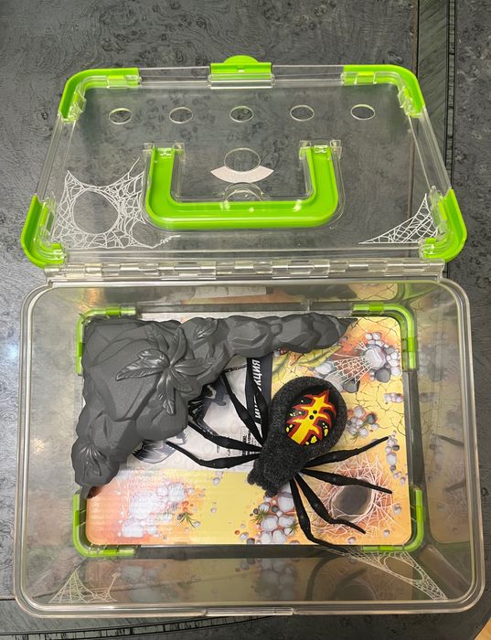 Логово паука игрушка