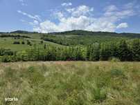 Teren splendid Garcina