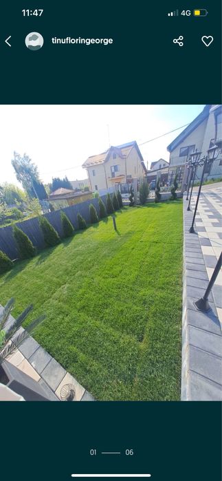 Gazon rulou supersport