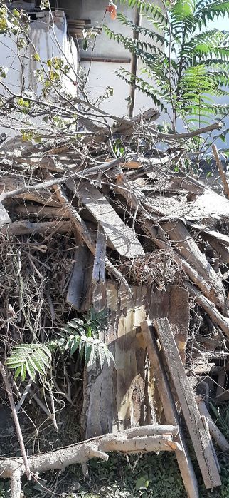 Кишга утин сотаман