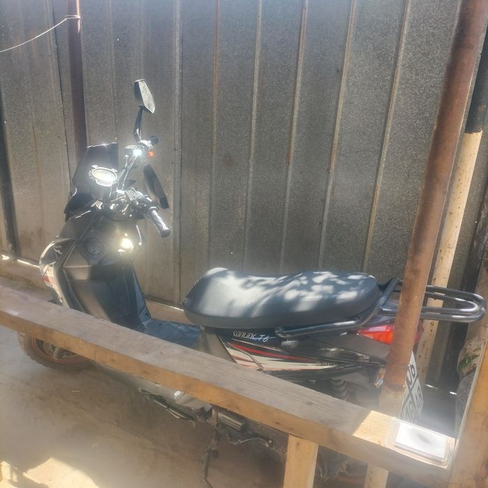 Самурай сонлик 2024