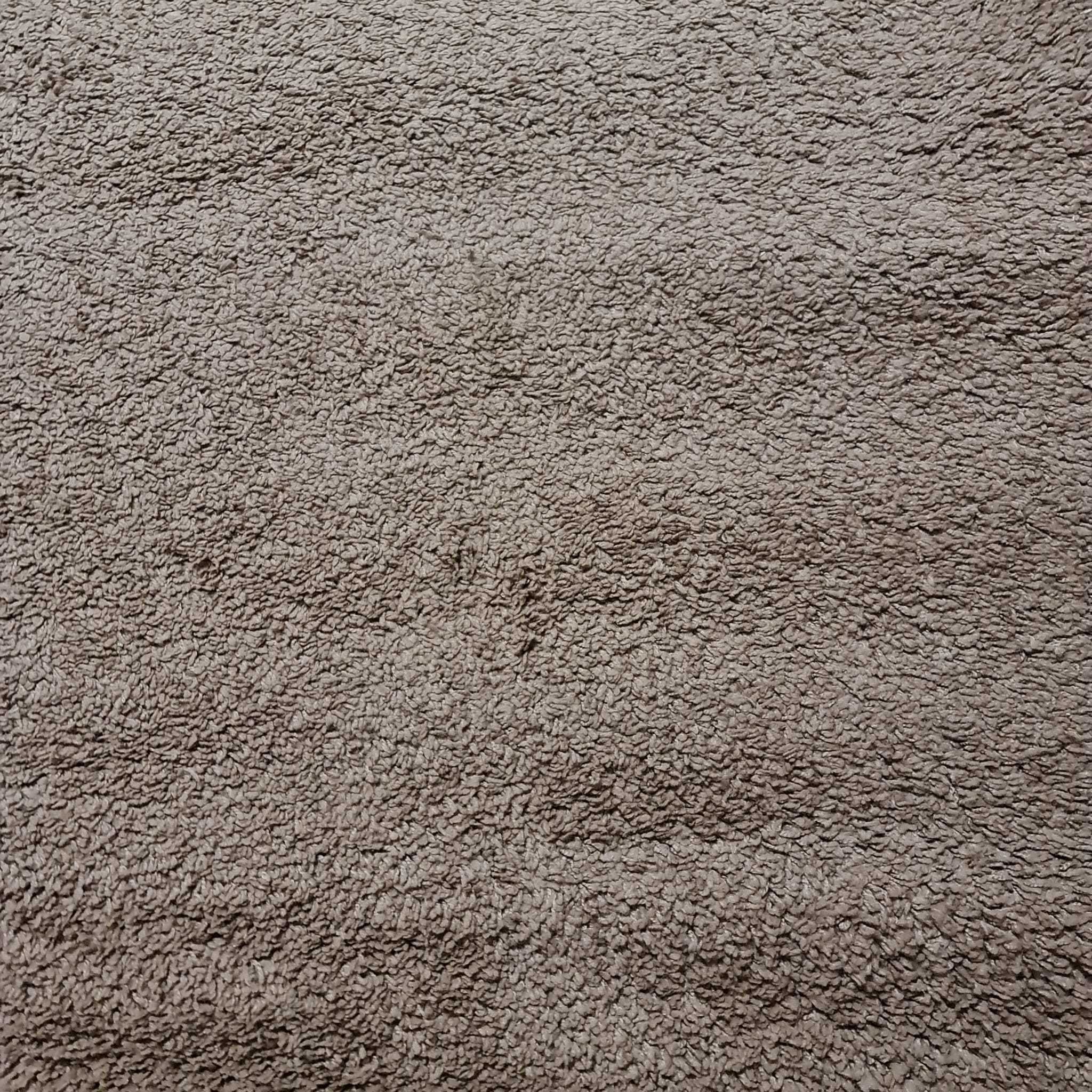 Covor living fir lung Shaggy Loop 288x198 cm