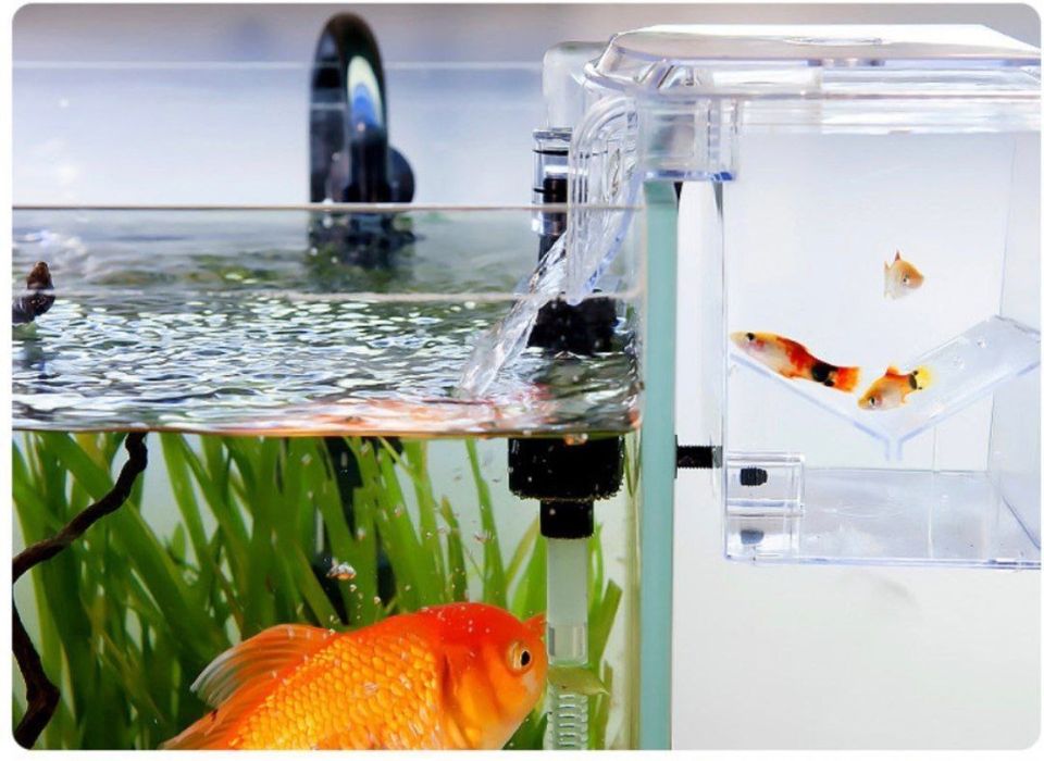 Продается инкубатор для разведения живородок