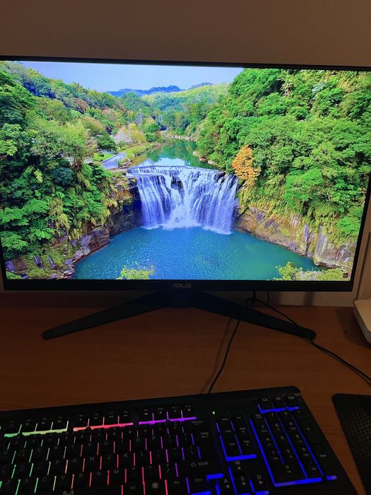 monitor gaming asus