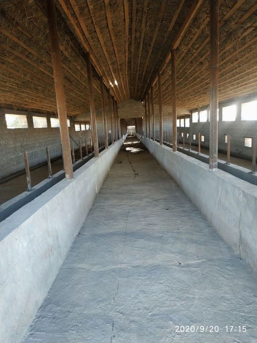 Продаю ферму
Охангарон
260 гектаров 
Ферма находится вдоль трассы
15 к