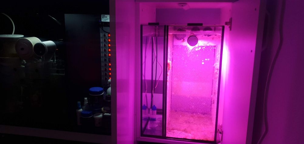 Acvariu marin Red Sea 425 XL