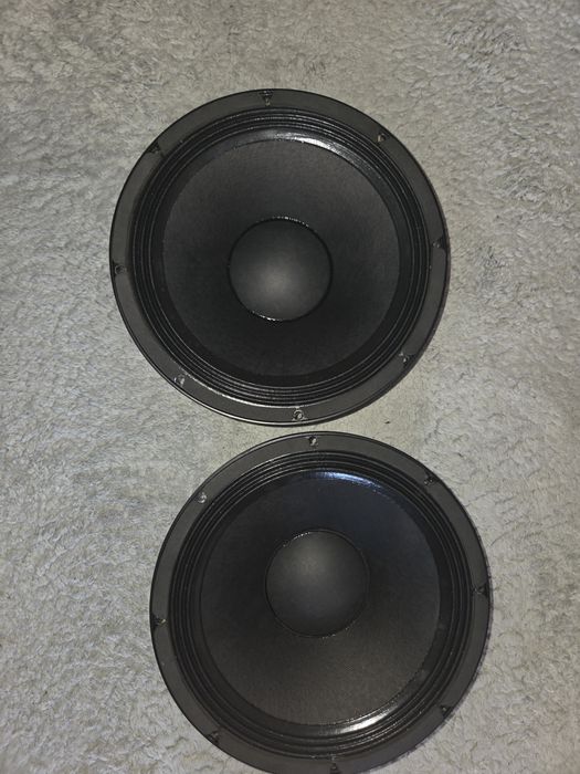 Boxe difuzoare 12 inch oberton