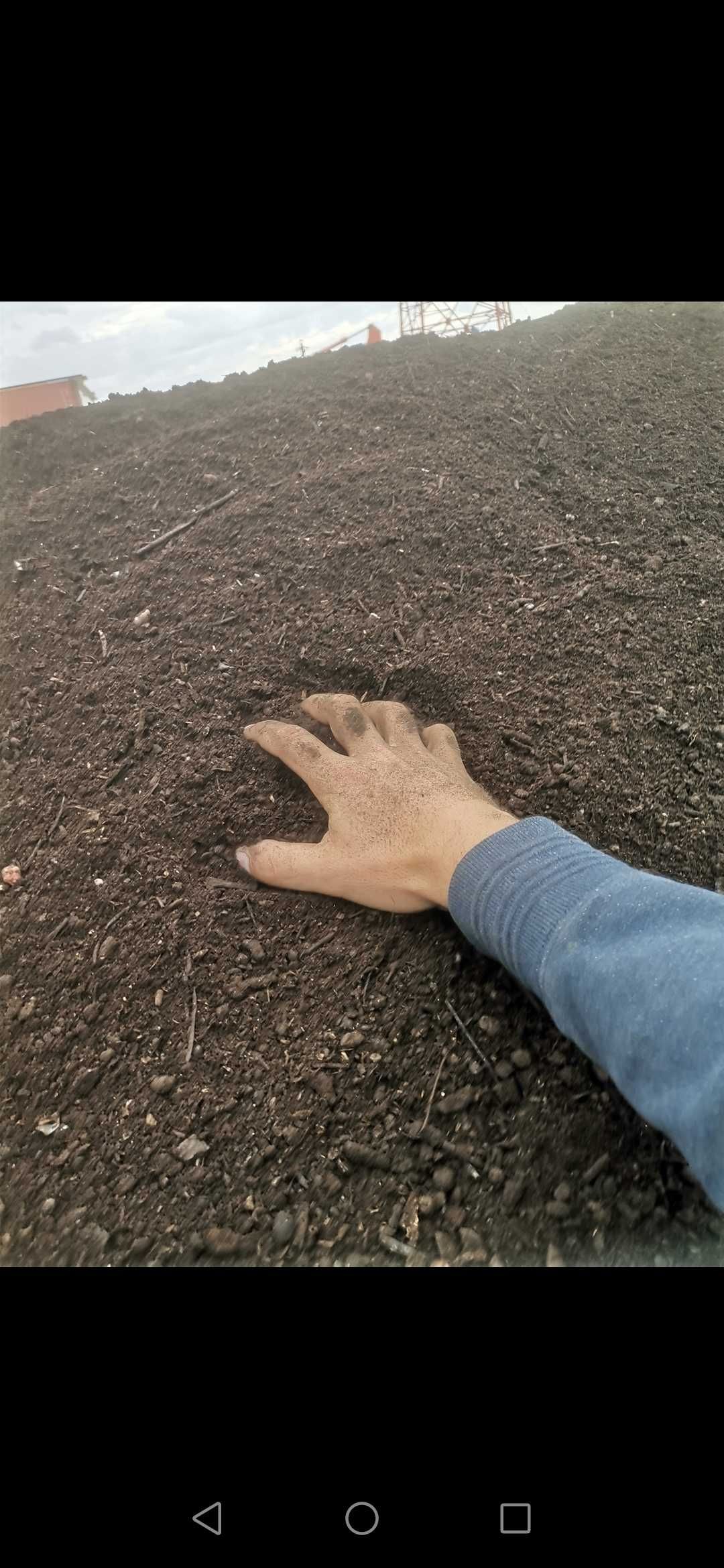 Pământ galben nisipos Pamant negru vegetal