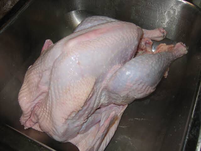 Индейка-индюшатина