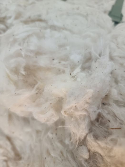 Хлопок Вата Оптом