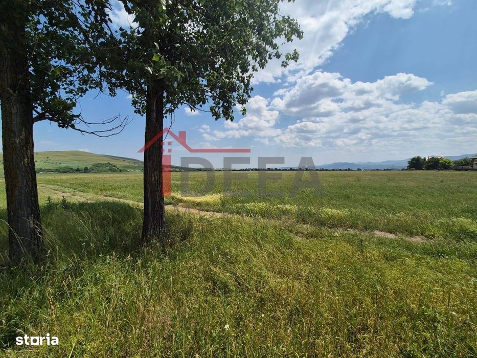 Teren intravilan 12.300 mp, Piatra-Neamt