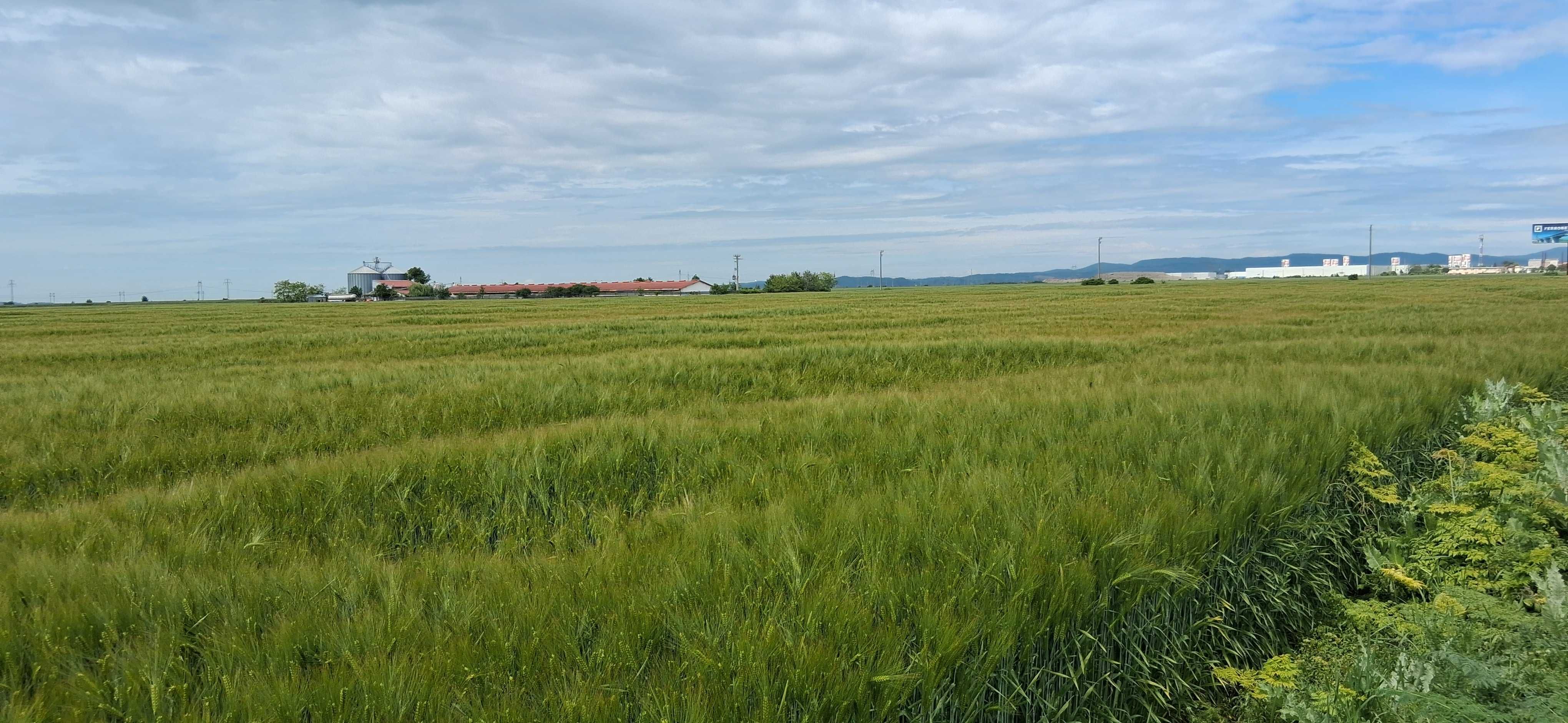 Teren 15.533 mp,deschidere 39 ml la DN1 ideal investitii industriale