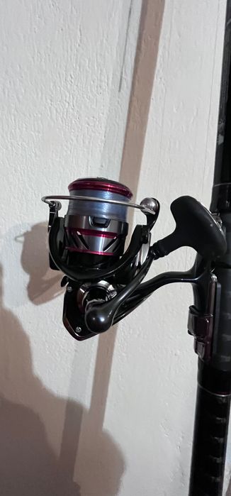 БОЛОНЕЗА Daiwa ninja с макара