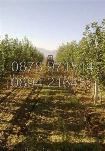 Продава се Земеделски имот в с. Катуница, Област Пловдив -  кв.м за 3234 €/дка - Снимка #1