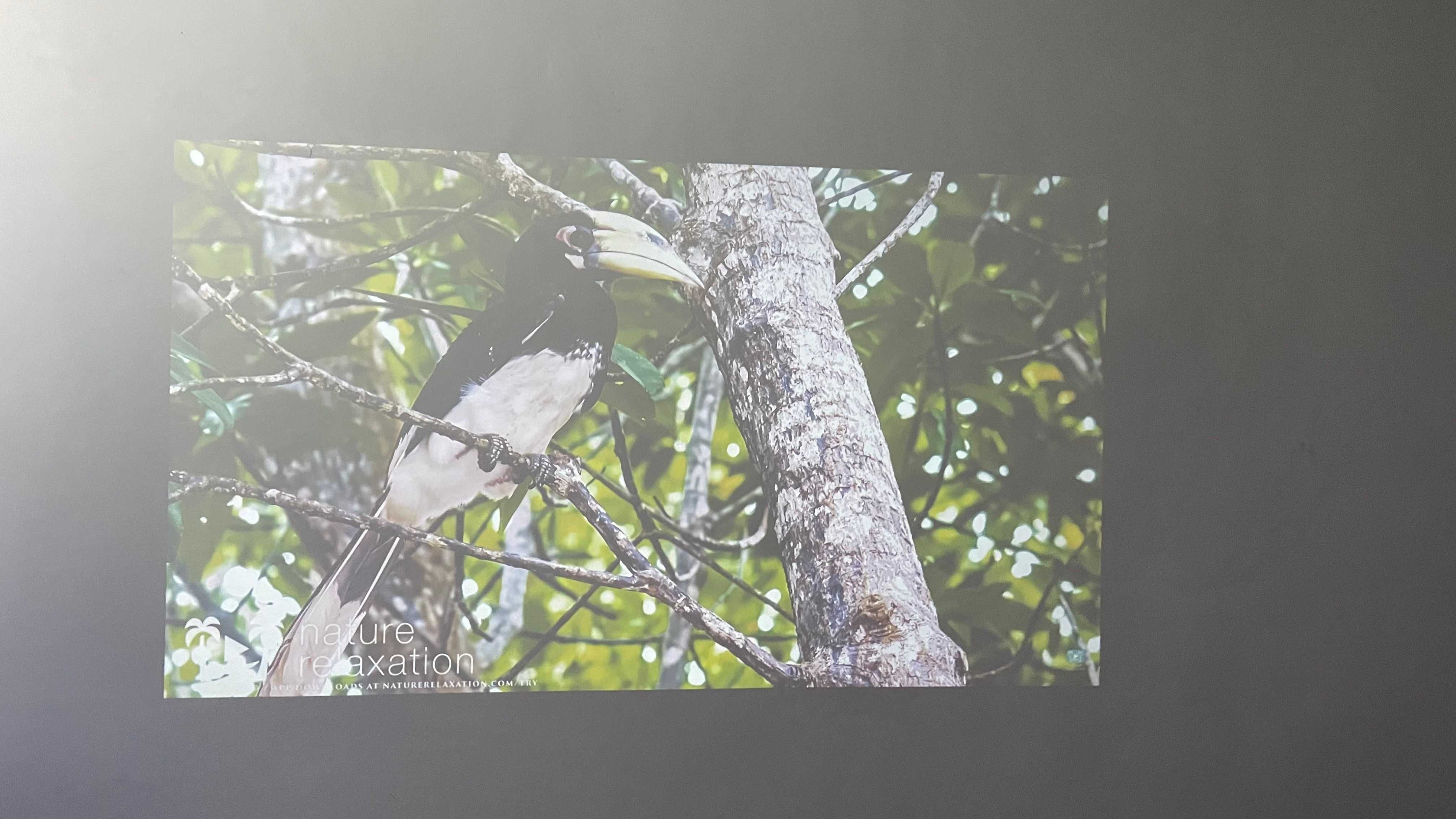 Проектор Optoma W355 DLP HD
