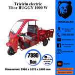 Triciclu electric Tuk Tuk Thor Buggy cu cabina Agramix nou