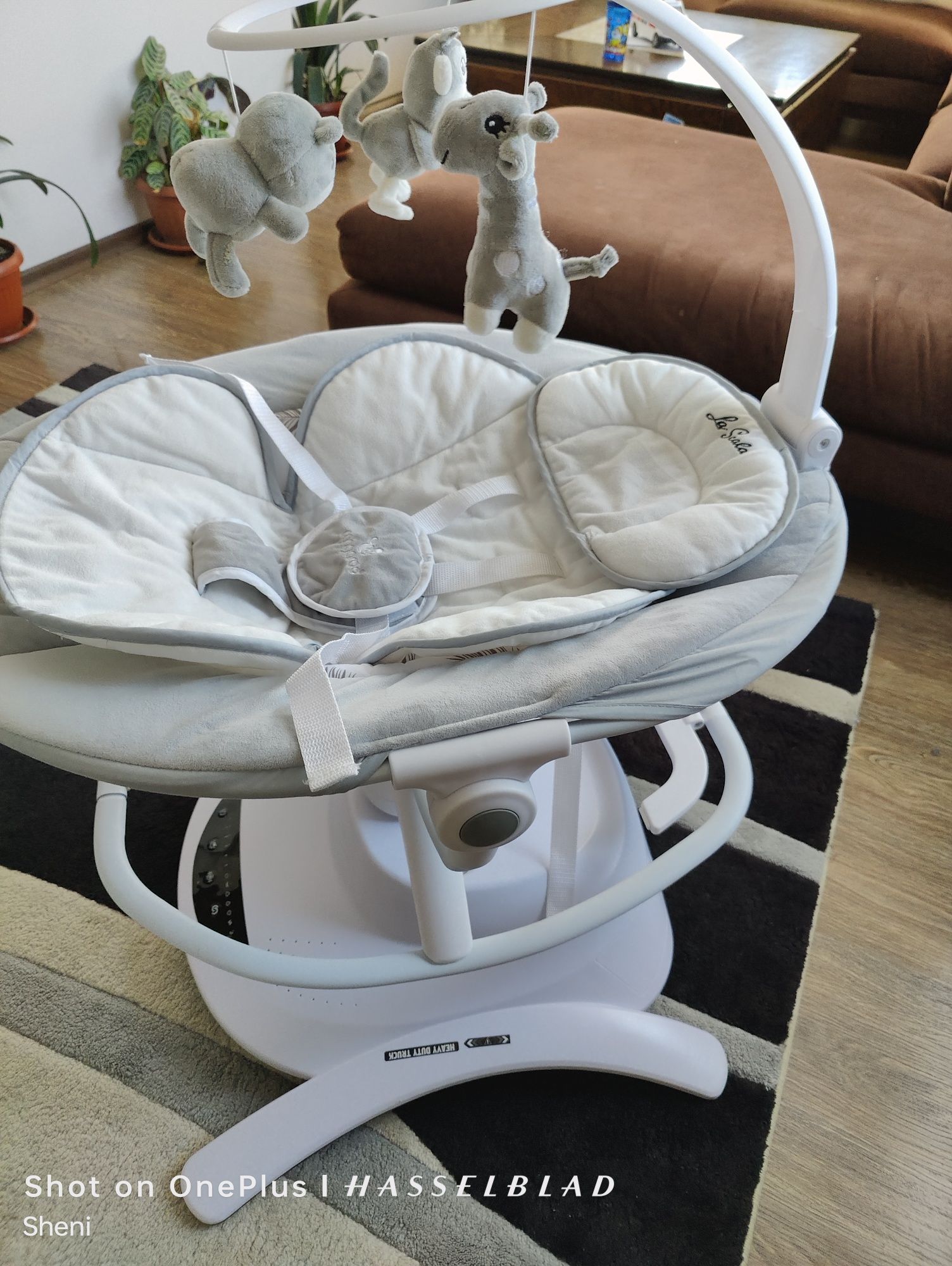 Cangaroo La scala