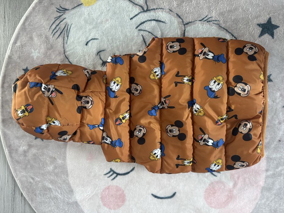 Vesta Mickey Mouse 86