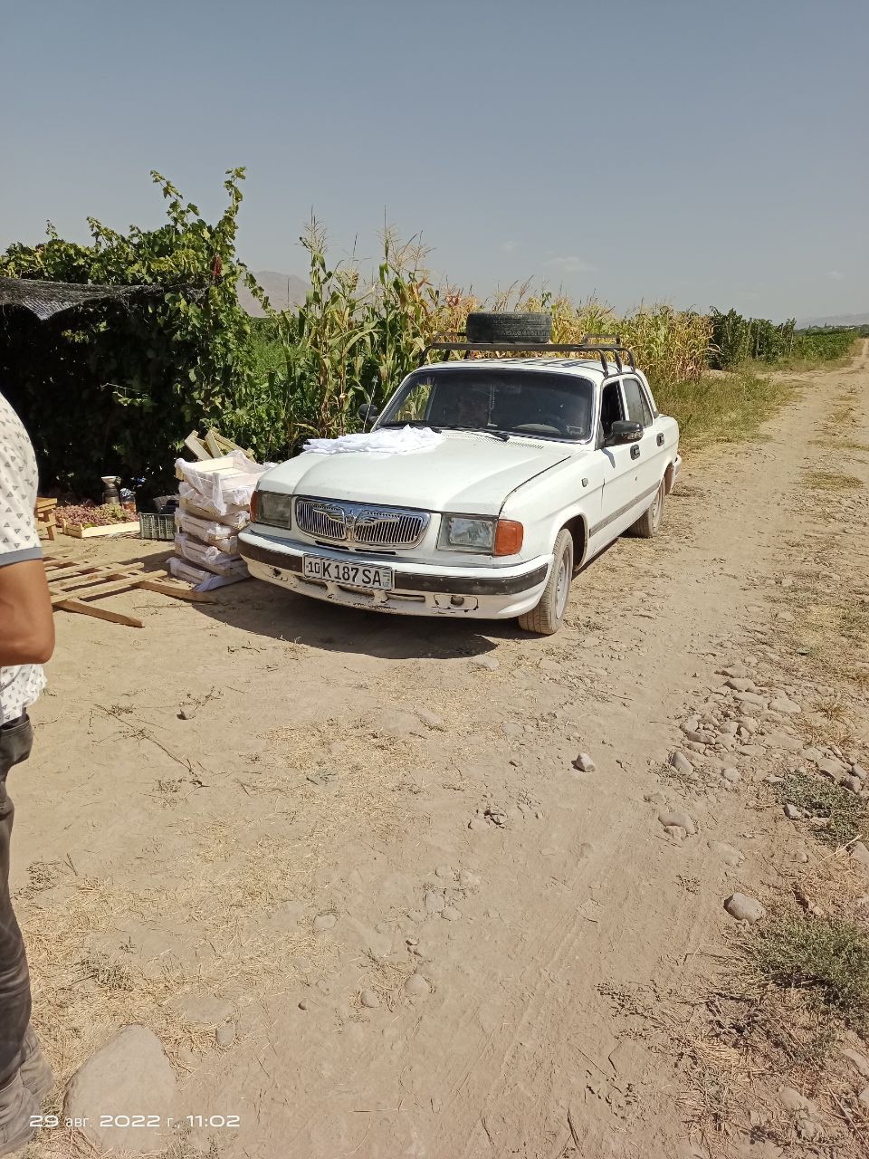 Gaz 3110 sotiladi