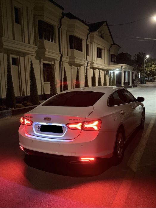 Malibu 2 Preimer 2020