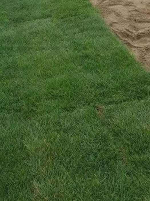 Gazon rulou si sistem de irigatii