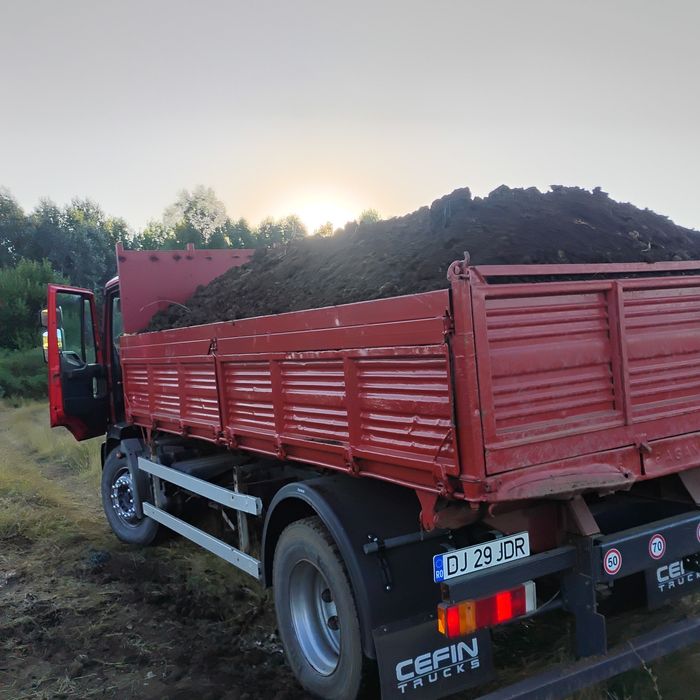 Pământ gazon gradina florii pomii mranita