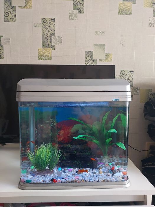 Аквариум заводской рыбками