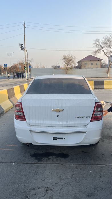 cobalt stayl MCM кобальт