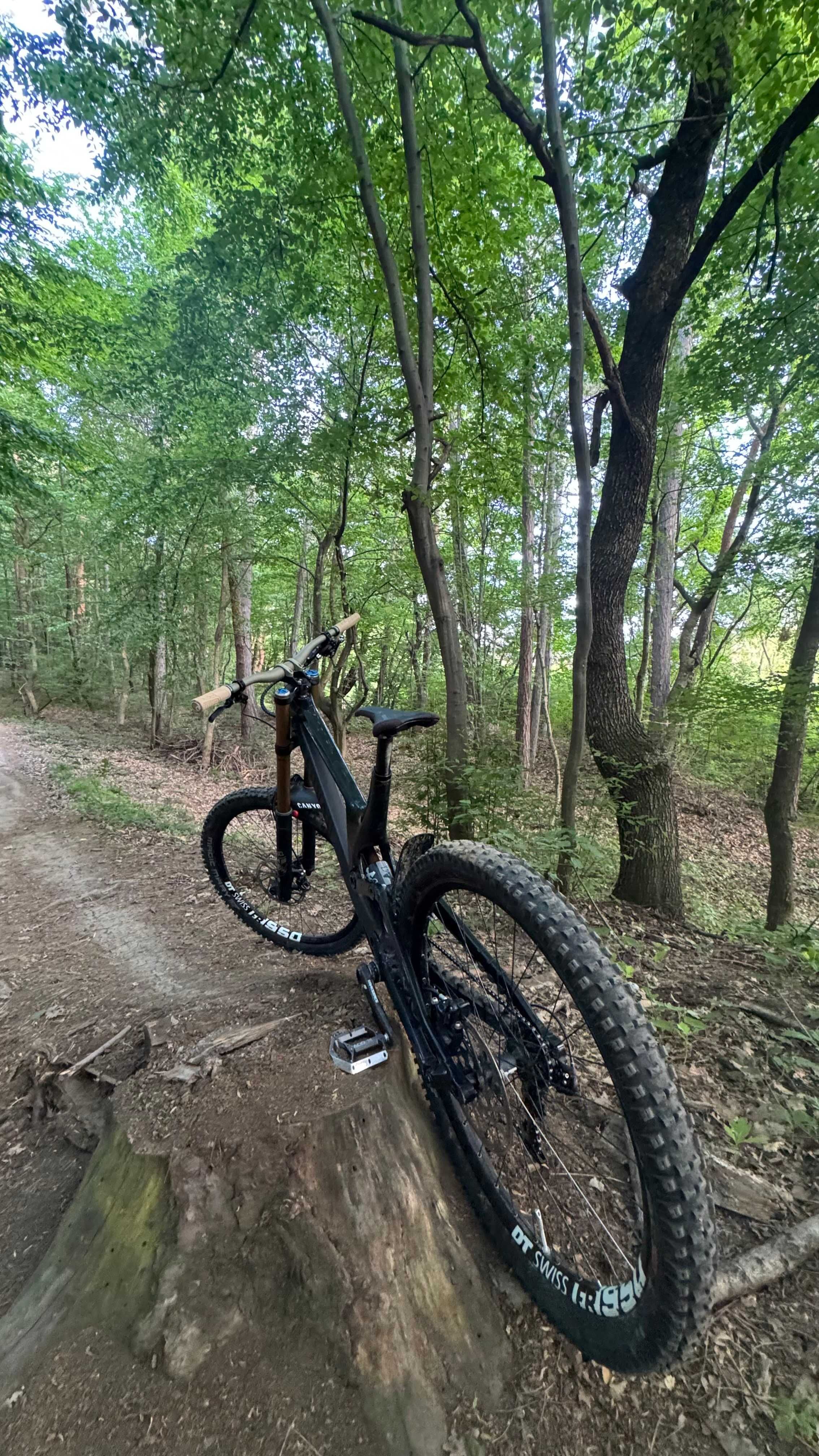 Bicicleta DownHill Canyon Sender CF 9.0, Cadru Marimea XL, FULL FOX
